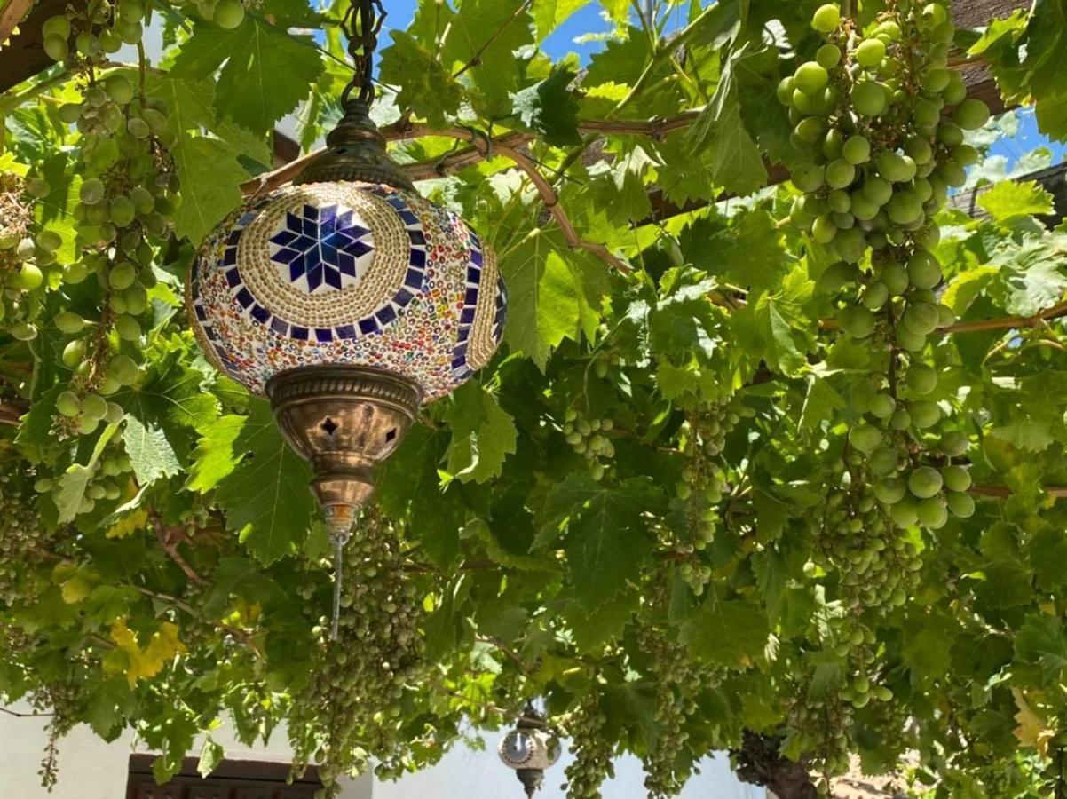 Oria B&B Los Lujos المظهر الخارجي الصورة